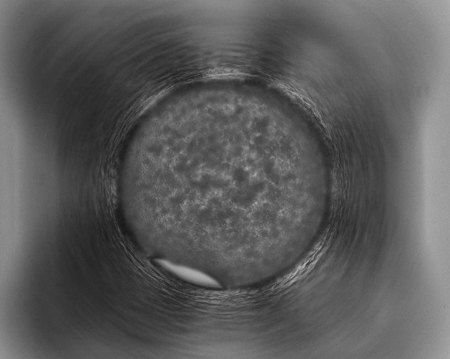 X0000096181401200802081450