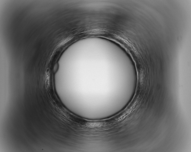 X0000096181402200802081450