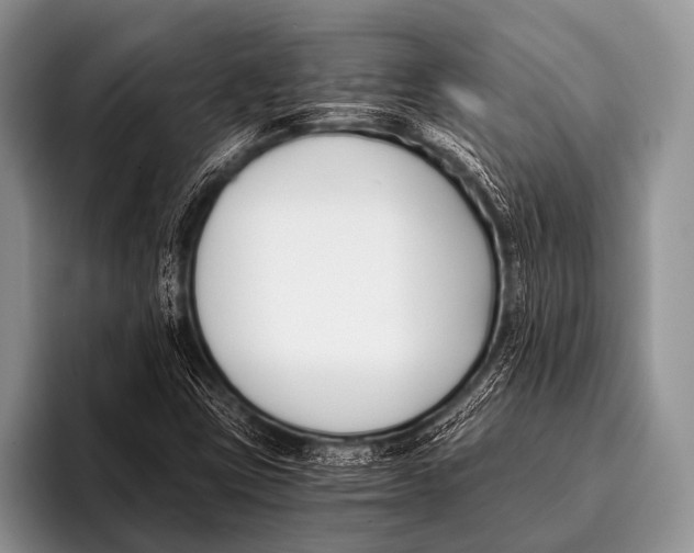 X0000096181403200802081450