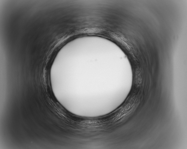 X0000096181404200802081450