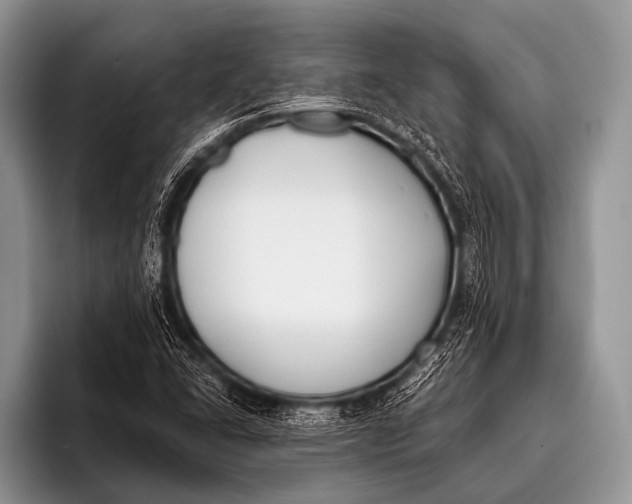 X0000096181406200802081450
