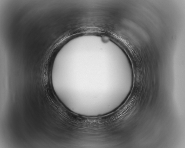 X0000096181407200802081450