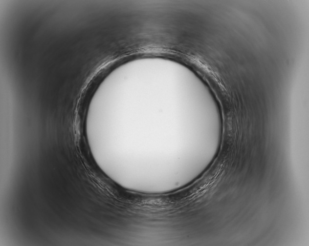 X0000096181408200802081450