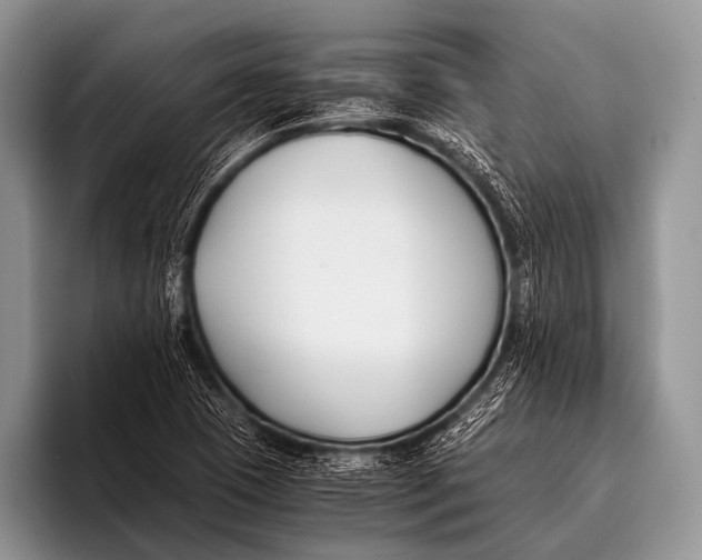 X0000096181409200802081450