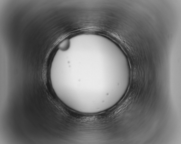 X0000096181410200802081450