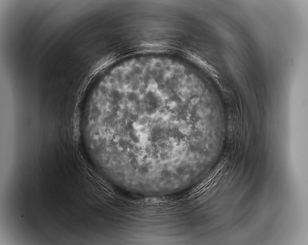 X0000096181411200802081450