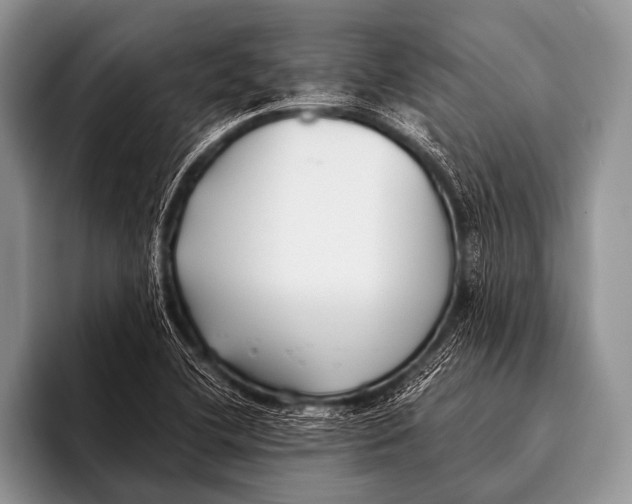 X0000096181412200802081450