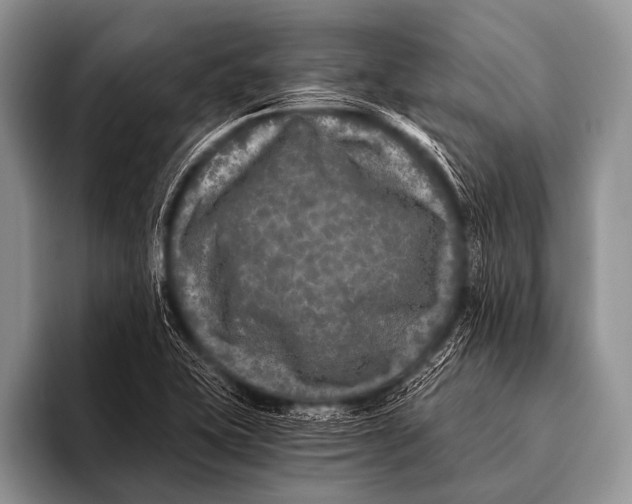 X0000096181415200802081450