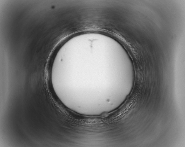 X0000096181416200802081450