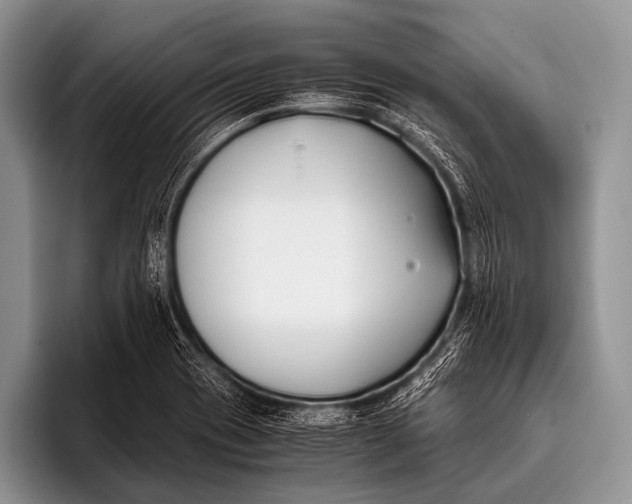 X0000096181417200802081450