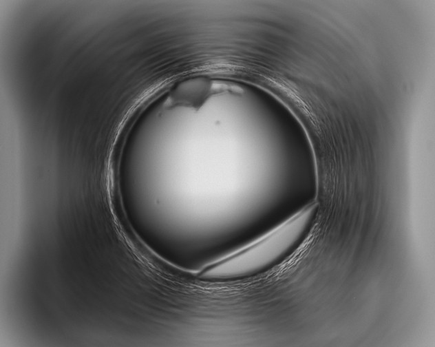 X0000096181418200802081450