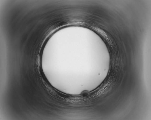 X0000096181420200802081450