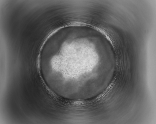 X0000096181421200802081450
