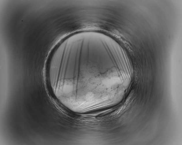 X0000096181422200802081450