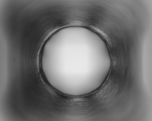 X0000096181423200802081450