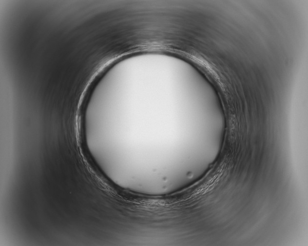 X0000096181424200802081450