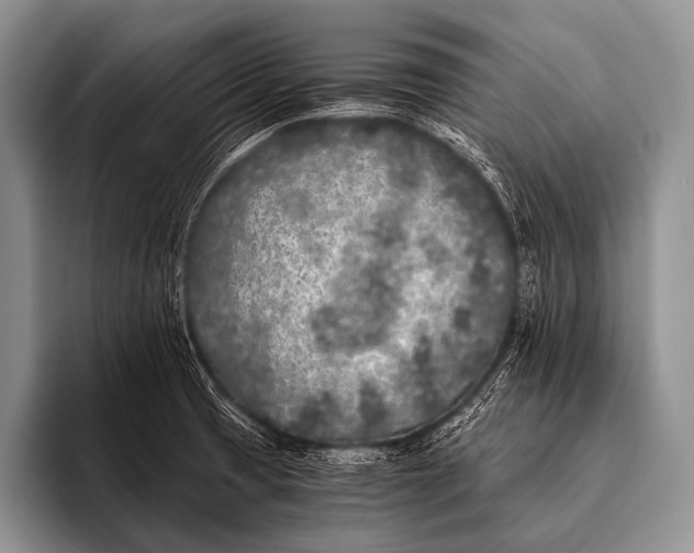 X0000096181425200802081450