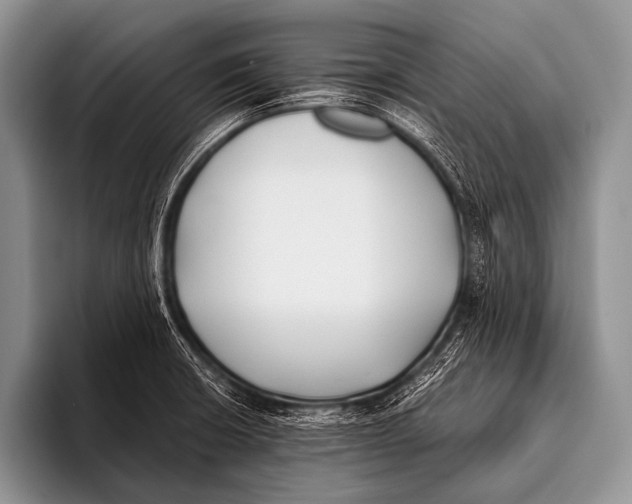 X0000096181426200802081450