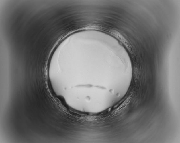X0000096181428200802081450