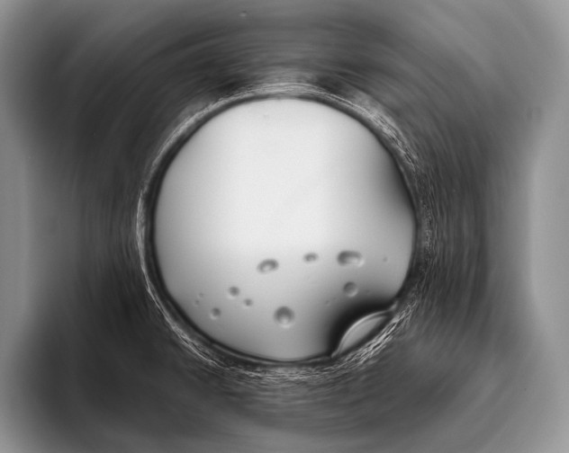 X0000096181430200802081450