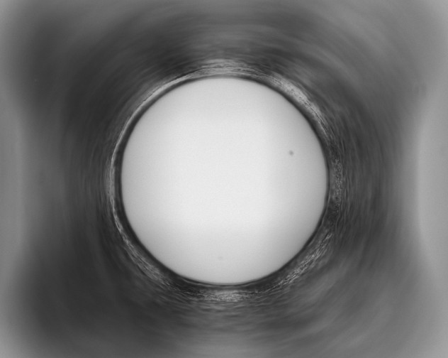 X0000096181431200802081450