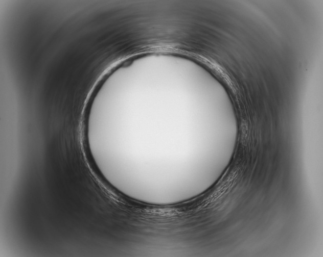 X0000096181432200802081450