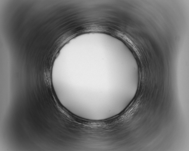 X0000096181433200802081450
