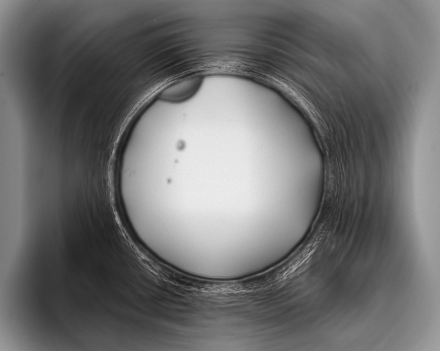 X0000096181434200802081450