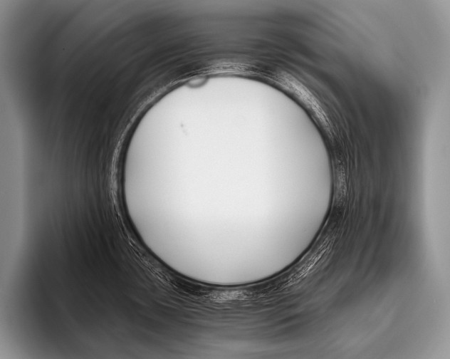 X0000096181435200802081450