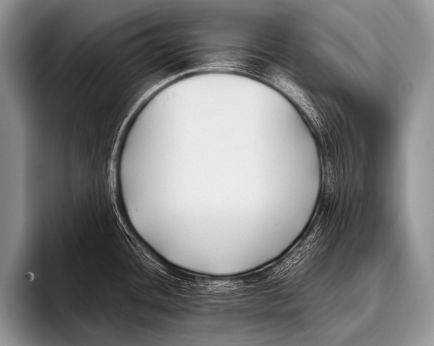 X0000096181436200802081450