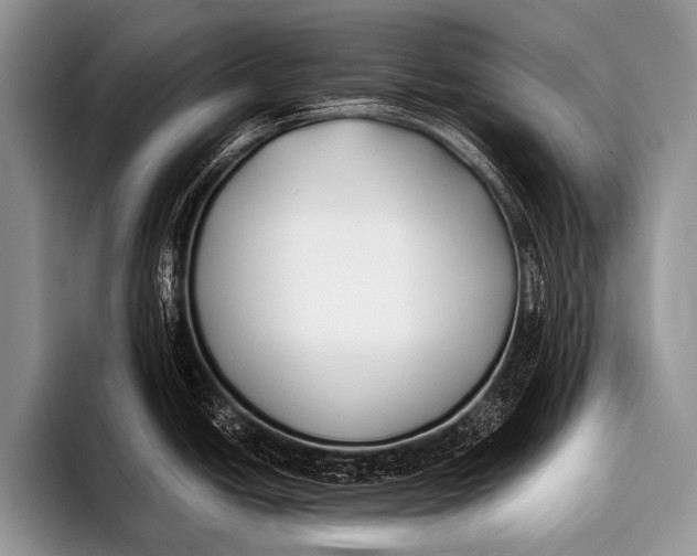 X0000096181438200802081450