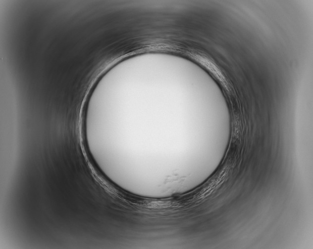 X0000096181439200802081450