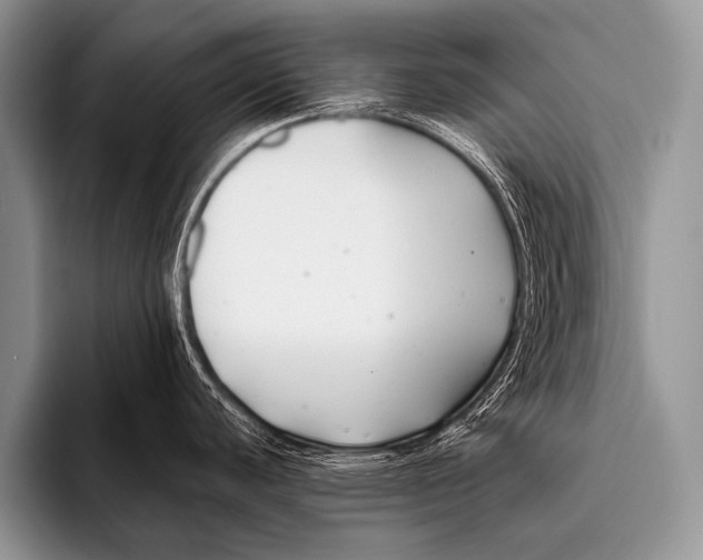 X0000096181440200802081450