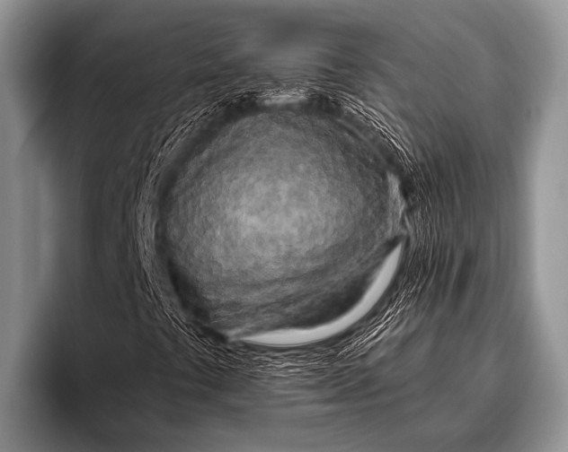 X0000096181441200802081450