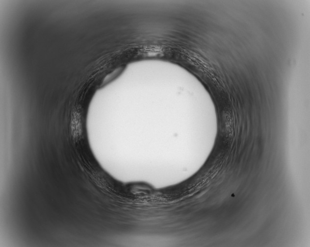 X0000096181442200802081450