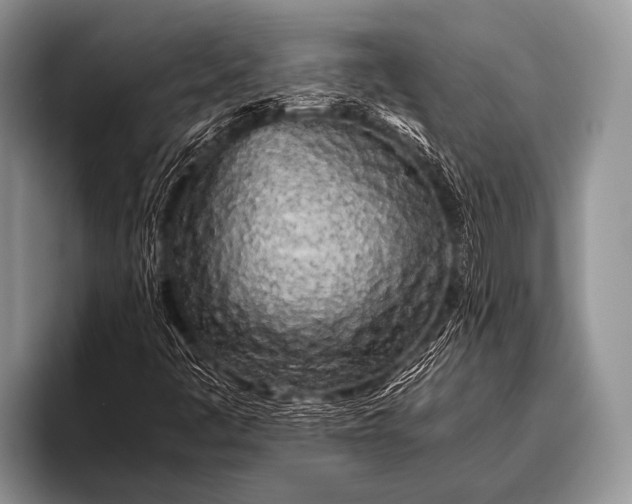 X0000096181445200802081450