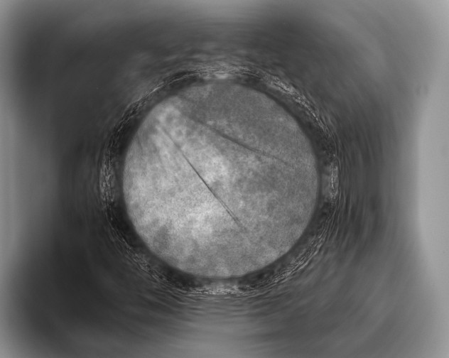 X0000096181446200802081450