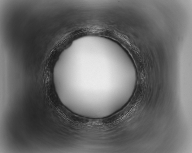 X0000096181447200802081450