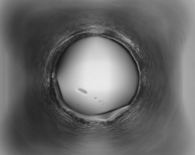 X0000096181448200802081450