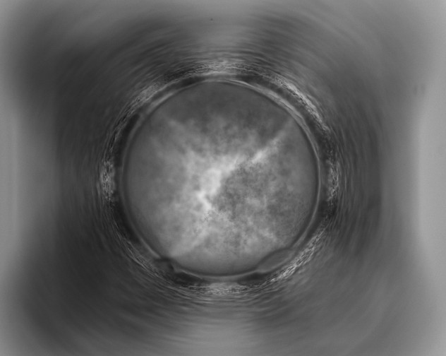 X0000096181449200802081450
