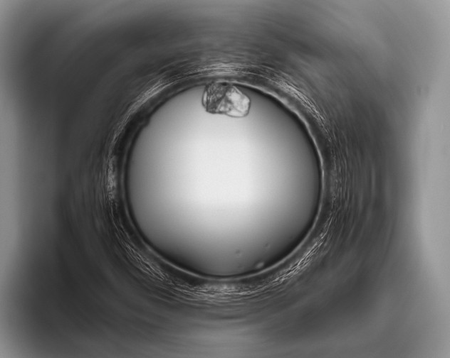 X0000096181450200802081450