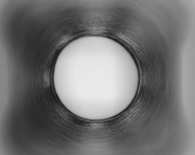 X0000096181451200802081450
