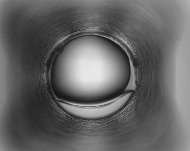 X0000096181452200802081450