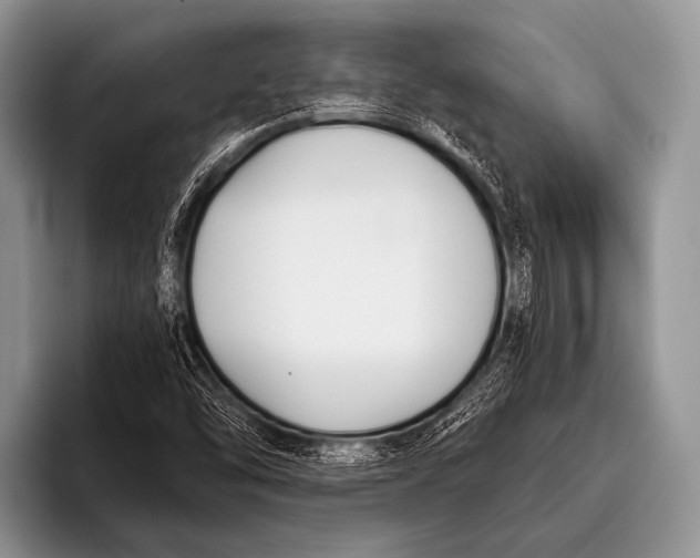 X0000096181454200802081450