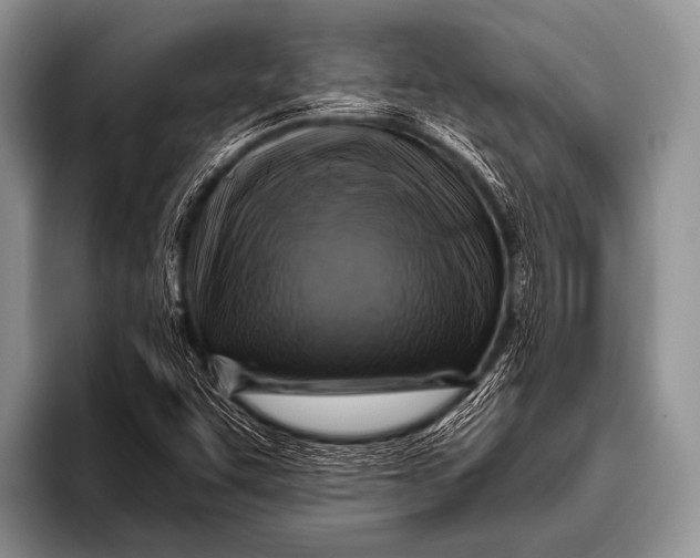 X0000096181455200802081450