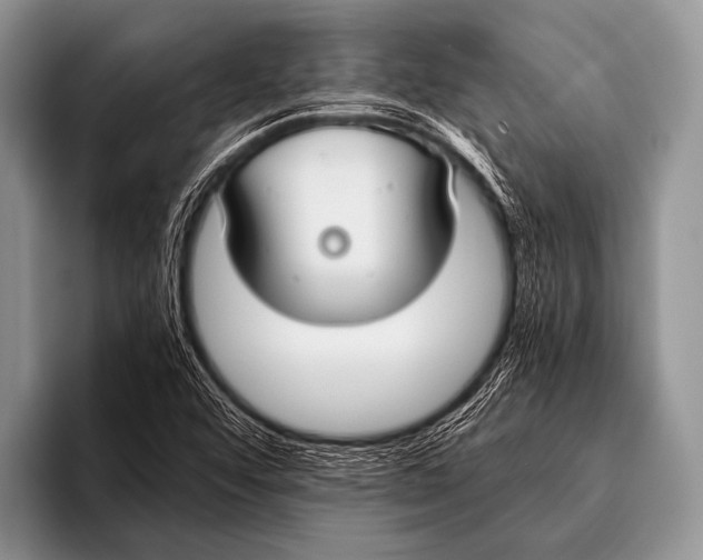 X0000096181456200802081450