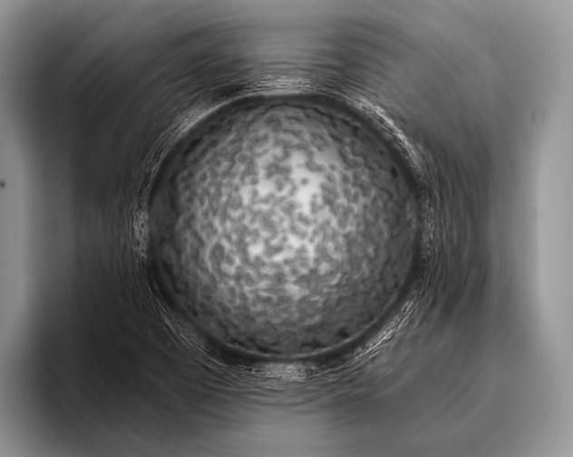 X0000096181457200802081450
