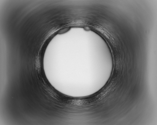 X0000096181458200802081450