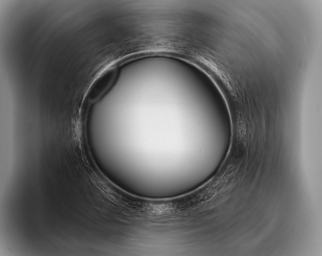 X0000096181460200802081450