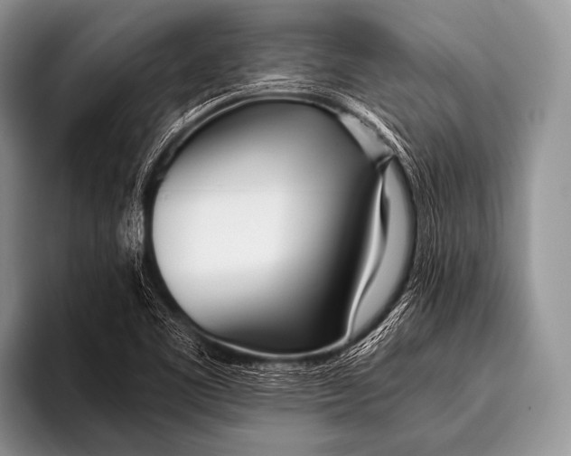 X0000096181461200802081450
